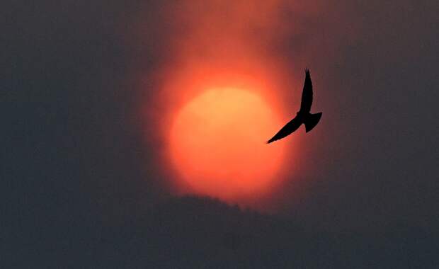 «Шокирующее» предсказание «русского Нострадамуса» начало сбываться