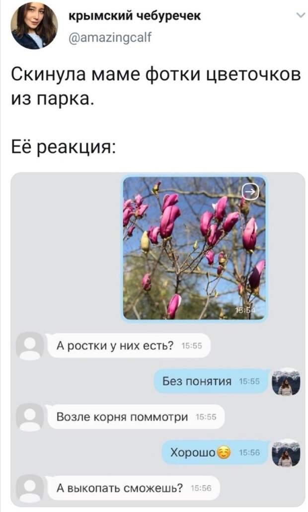 Подборка картинок (20 фото)