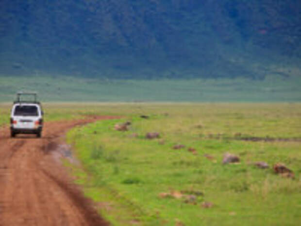 Клуб путешествий Павла Аксенова. Танзания. Game drive. Фото shalamov - Depositphotos