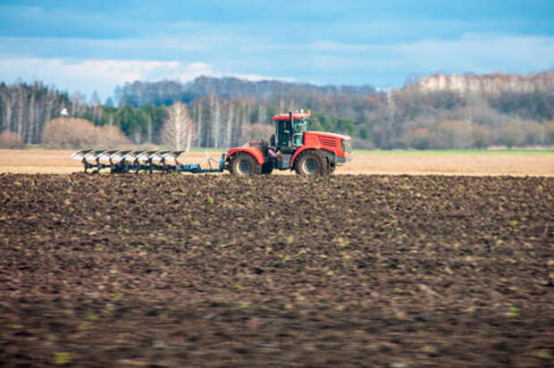 Новые требования для фермеров вводят на Кубани