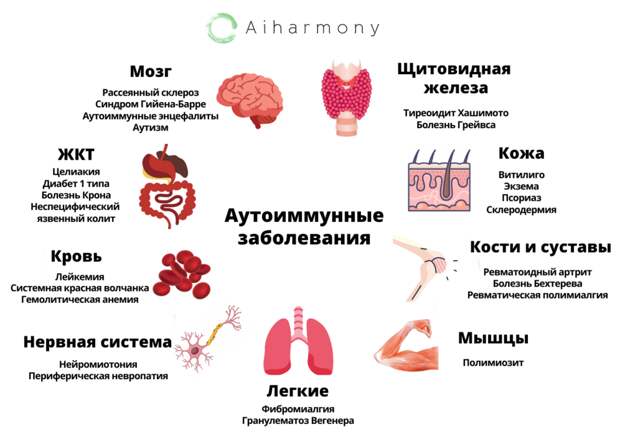 Полный список аутоиммунных заболеваний и подозреваемых — Aiharmony