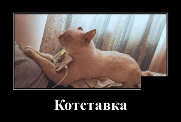 Демотиваторы (30 фото)