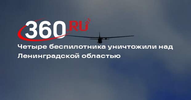 Четыре беспилотника уничтожили над Ленинградской областью