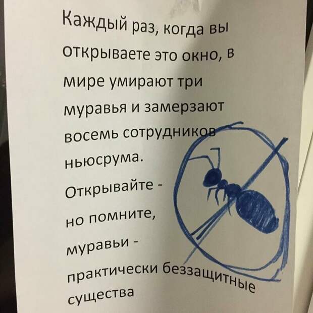 Заботятся о муравьях надпись, объявления, прикол, смешная надпись, смешно, смешные объявления