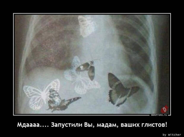 Свежие, прикольные демотиваторы