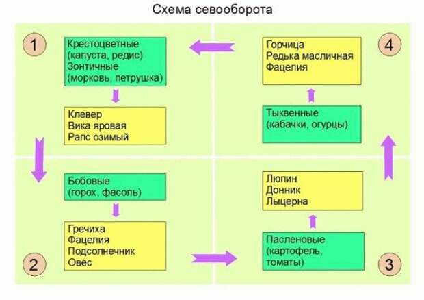 Схема севооборота