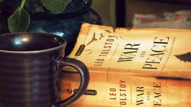 "Неудача великого писателя". В США не смогли разгадать замысел Толстого
