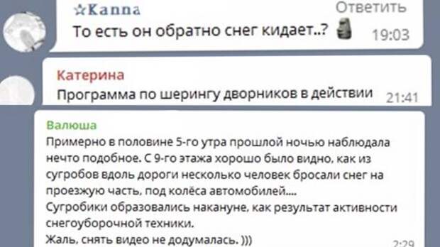 Отсутствие дворников и техники: коммунальные службы Петербурга проиграли битву со снегом