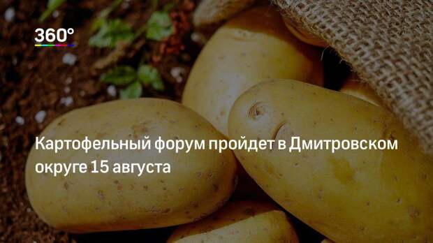 Картофельный форум пройдет в Дмитровском округе 15 августа