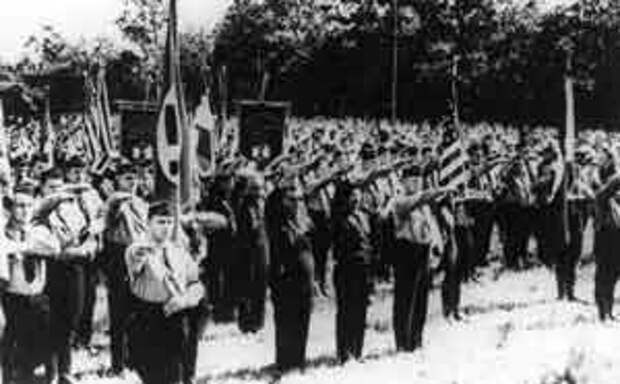 молодежь и Американская нацистская партия