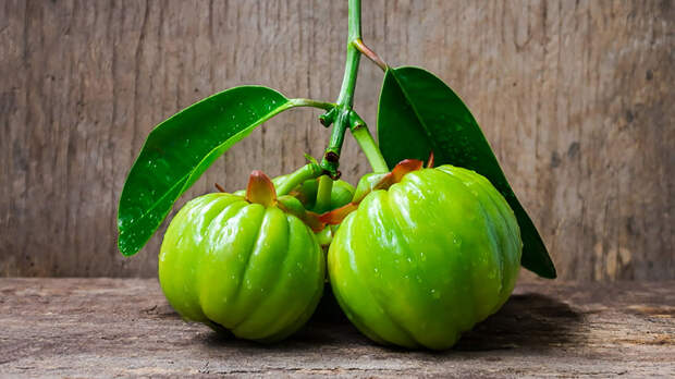 Гарциния для похудения