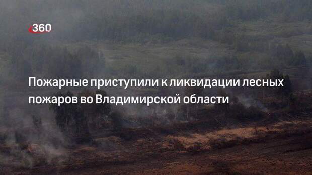 МЧС России: шесть очагов лесных пожаров тушат во Владимирской области