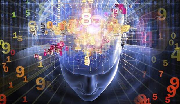 5 интересных фактов о мозге