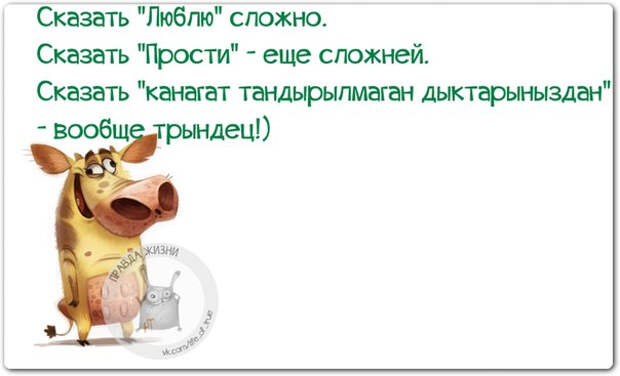 1422817410_frazki-4 (604x367, 121Kb)