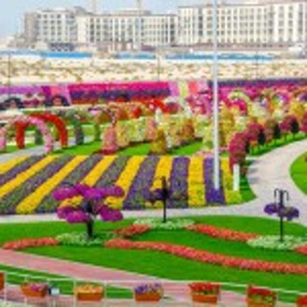 Dubai Miracle Garden