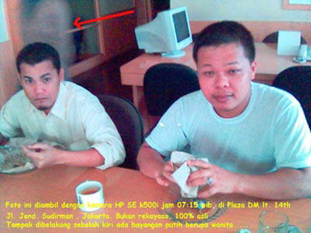 Piccy.info - Free Image Hosting