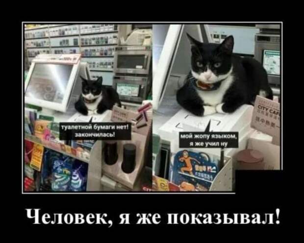 Демотиваторы про коронавирус с надписями. Подборка chert-poberi-dem-koronavirus-chert-poberi-dem-koronavirus-35540230052020-5 картинка chert-poberi-dem-koronavirus-35540230052020-5