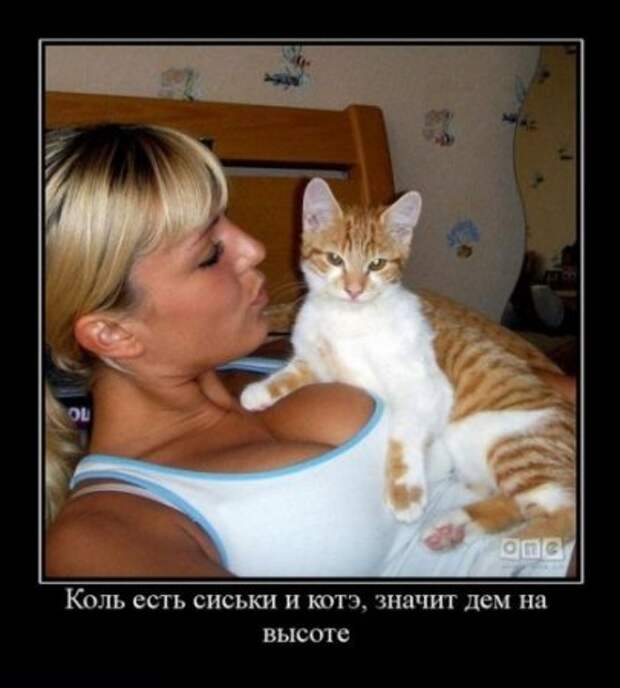 Демотиваторы это не только прикольные картинки но и ржачные фразы.