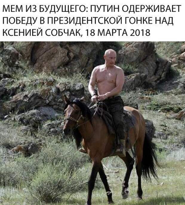 Как у соцсетей пригорает от Собчак и ее предвыборной кампании