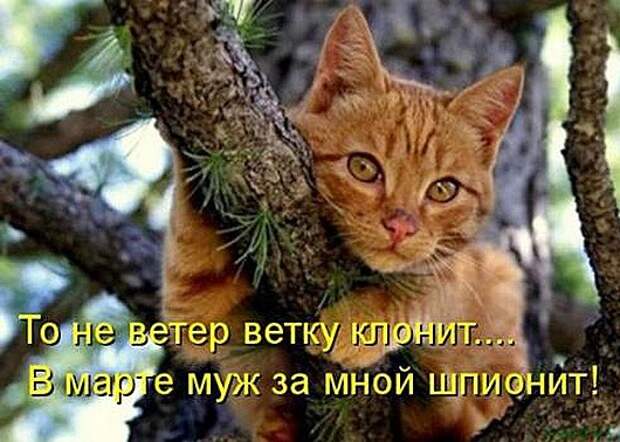 835dc6fb9c26af30504ae24db93_prev