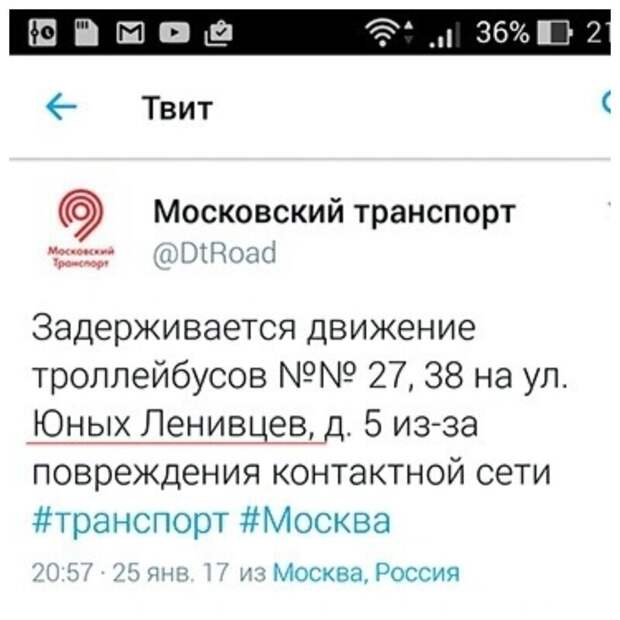 Юные Ленивцы - это сейчас о всем мире так сказать можно Юные Ленивцы - это сейчас о всем мире так сказать можно
