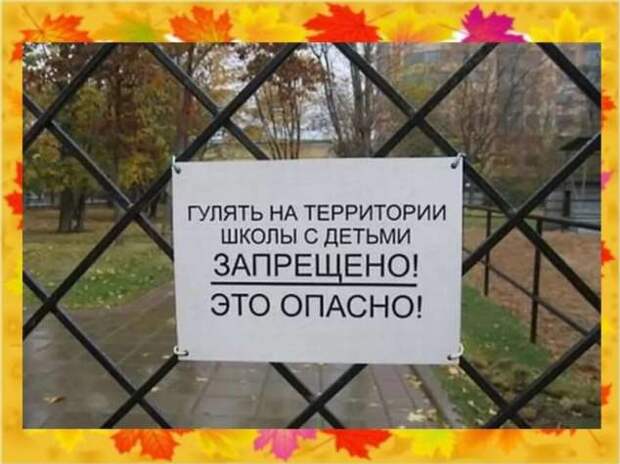 Прикольные демотиваторы с надписями. Подборка chert-poberi-dem-chert-poberi-dem-04000330082020-4 картинка chert-poberi-dem-04000330082020-4