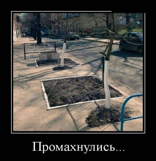 Демотиваторы (30 фото)