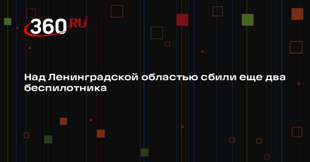 Над Ленинградской областью сбили еще два беспилотника