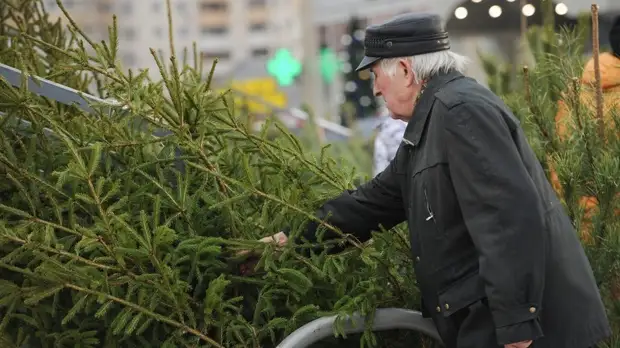 Ёлочные базары в Туле откроются 20 декабря