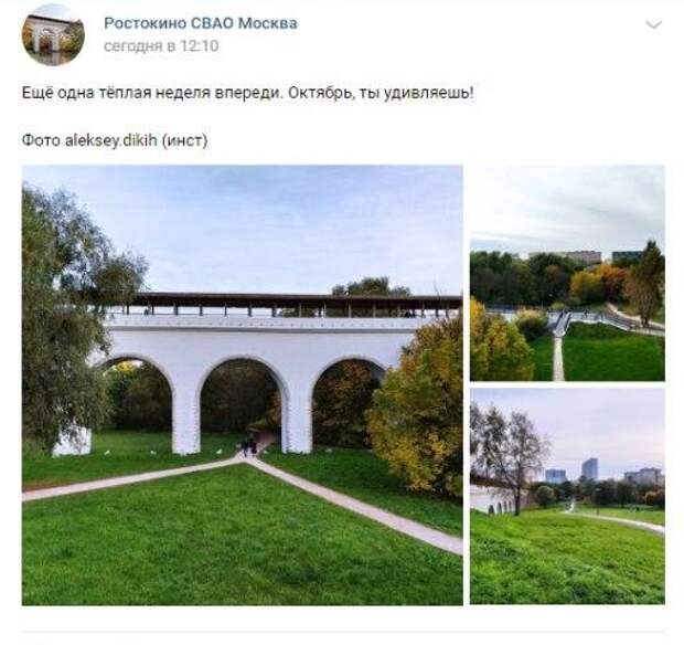 Фото дня: золотая осень в Ростокине