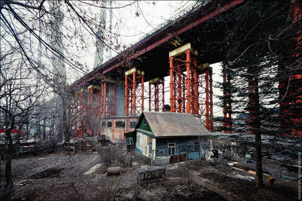 vladik11