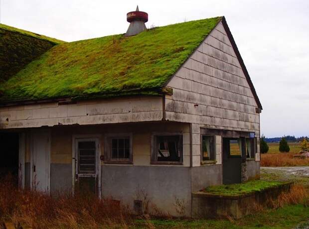 Самая экологичная кровля: мох и газоны на крышах домов газон, дом, крыша, мир, мох, экология, эстетика