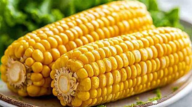 Агропром: из кукурузы сделают заменитель сахара