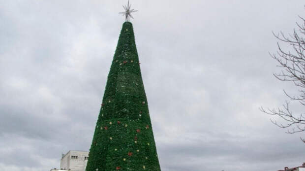 Главную ёлку Крыма установили в Симферополе