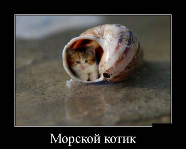 Демотиваторы (30 фото)