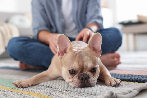 Назван неожиданный способ защитить мозг от возрастных изменений