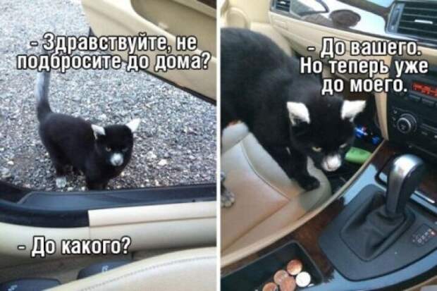 Прикольные картинки, всем добра! (36 шт) | Mixnews
