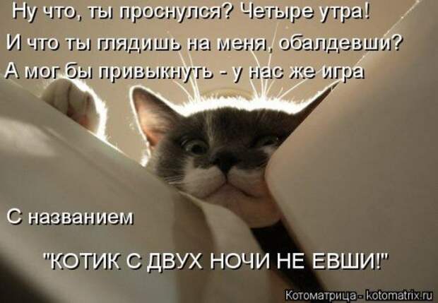 Новая котоматрица для настроения. Смотрим приколы