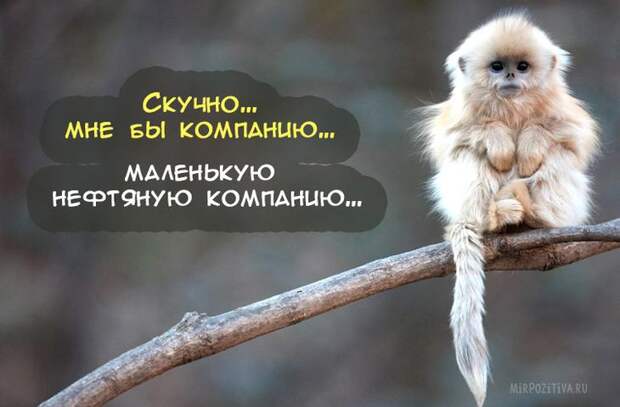 Самая веселая подборка прикольных картинок Самая веселая подборка прикольных картинок