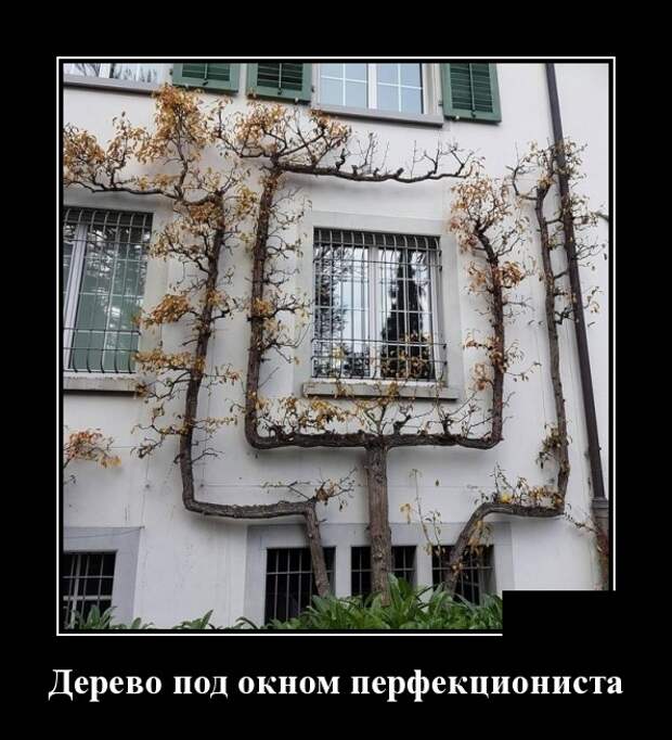 Демотиваторы (30 фото)