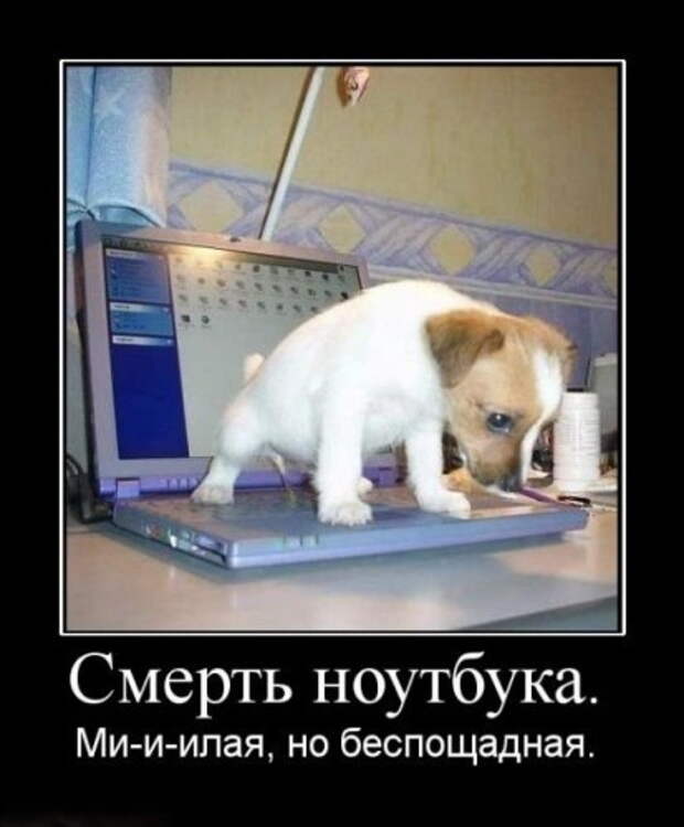 Классный сборник позитивных демотиваторов  (2014)