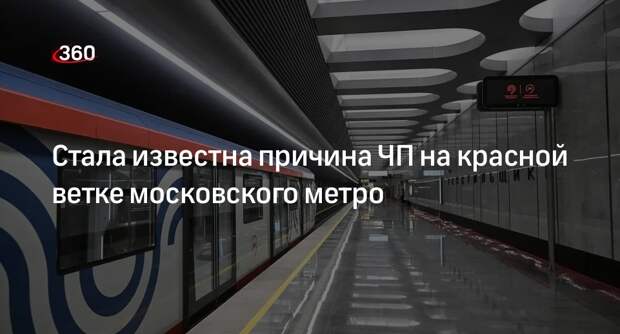Причиной ЧП на Сокольнической линии метро Москвы стала технеисправность