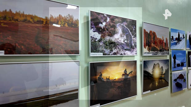 Выставка работ путешественника Вадима Алексеева открылась в Карелии