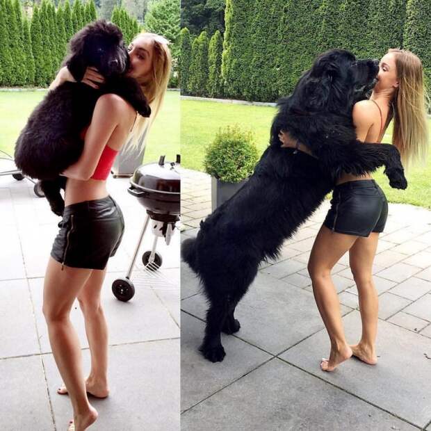 Фотоподборка