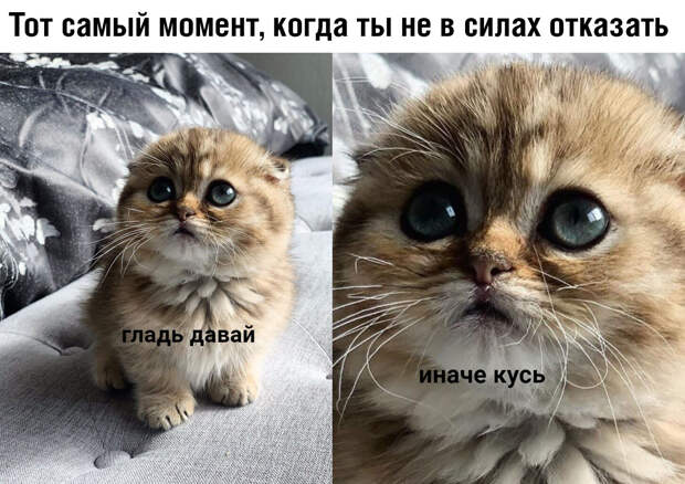 Подборка картинок. Субботний выпуск (30 фото)