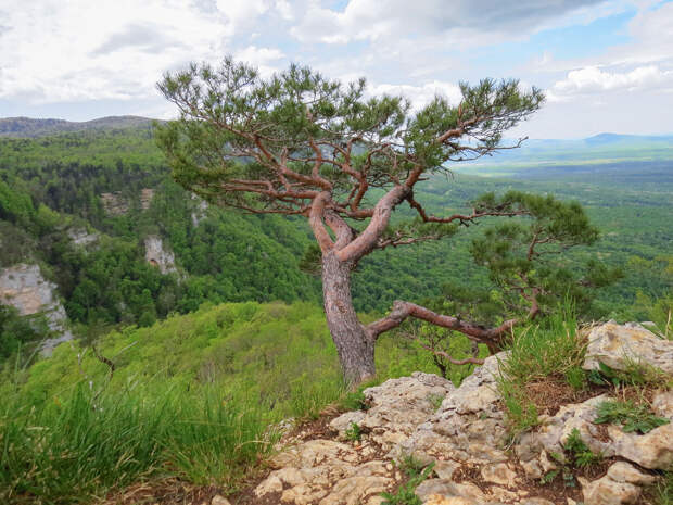 Смотровая площадка над ущельем реки Матузка.