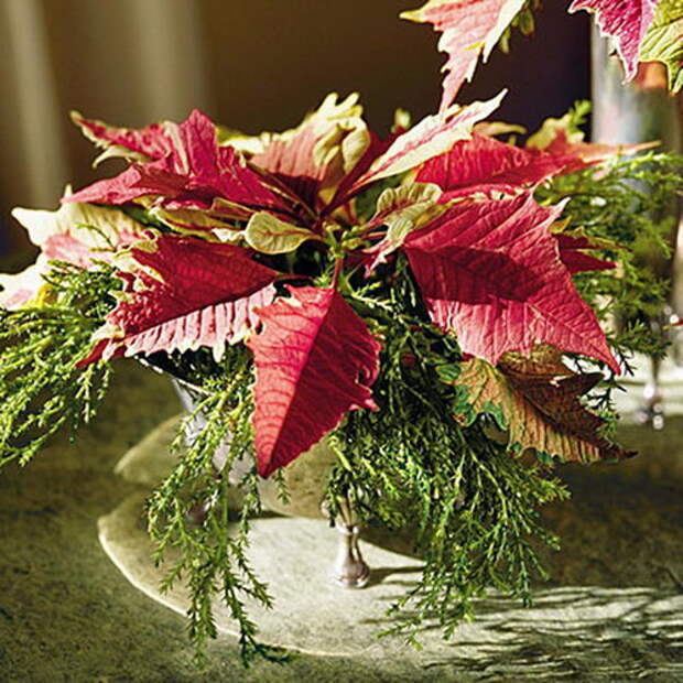 home-flowers-in-new-year-decorating1-8.jpg