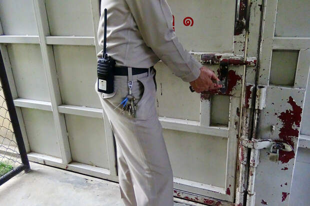 CNN: в Венесуэле освободили из заключения по меньшей мере 4 американцев