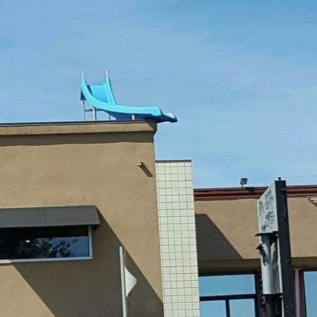Подборка прикольных картинок