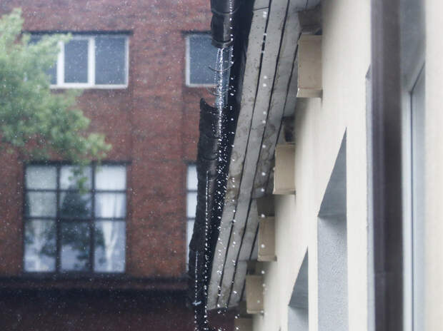 27 марта в Москве прогнозируют пасмурную погоду и небольшой дождь